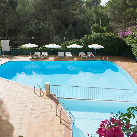 Alea Hotel 3*